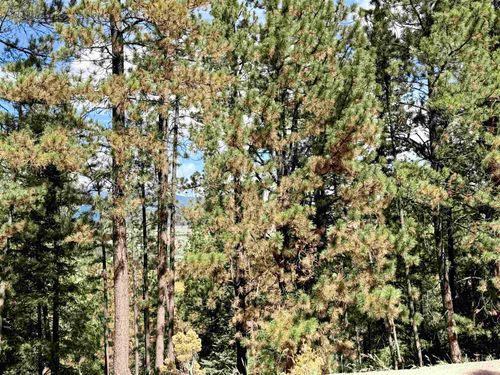 Lot 30A Vail Ave, Angel Fire, NM, 87710 | Card Image