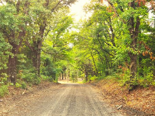 Lot 465 County Road 4710, LaRue, TX, 75770 | Card Image