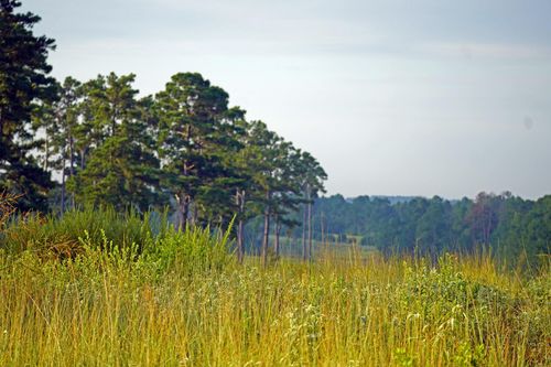 8301 State Highway 7 E, Centerville, TX, 75833 | Card Image