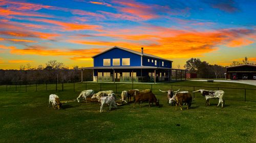 3200 N Us Highway 75, Buffalo, TX, 75831-8319 | Card Image