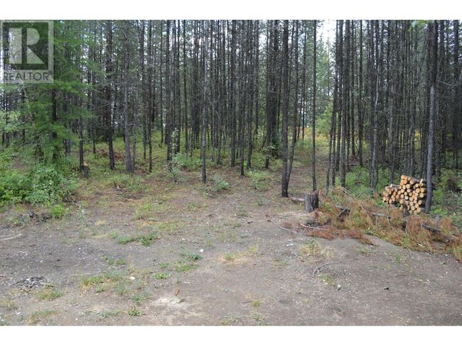Lot 1 3 Rd St, Home with 0 bedrooms, 0 bathrooms and null parking in Kootenay Boundary BC | Image 5