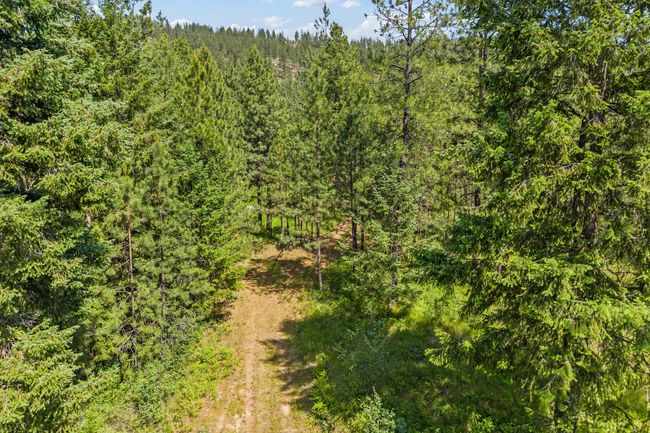 5491 Sailor Rd, Home with 0 bedrooms, 0 bathrooms and null parking in Deer Park WA | Image 7
