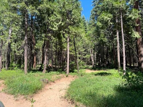 0000 Eastwood Way, Shingletown, CA, 96088 | Card Image