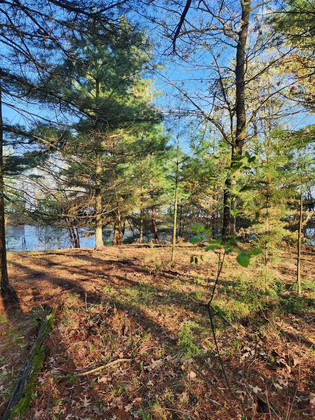 2035A Blackhawk St, Home with 0 bedrooms, 0 bathrooms and null parking in Friendship WI | Image 37