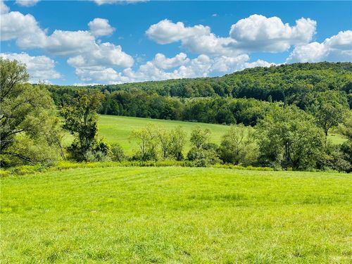0 Teed Hill Road, Masonville, NY, 13804 | Card Image