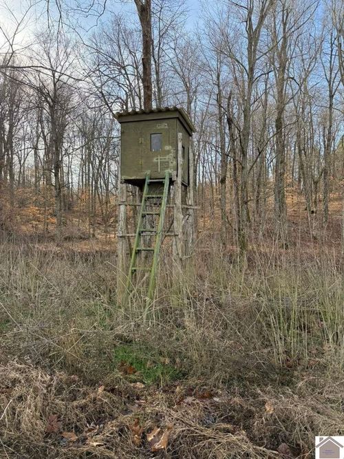 2052 Olney Rd, Princeton, KY, 42445 | Card Image