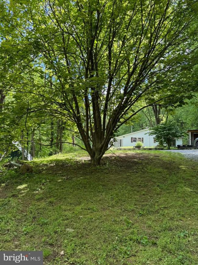 3143 Erly Rd, House other with 3 bedrooms, 2 bathrooms and null parking in Elliottsburg PA | Image 37