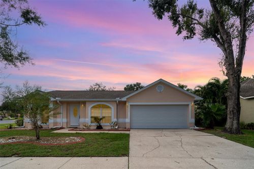 11512 Wellman Dr, Riverview, FL, 33578-3765 | Card Image