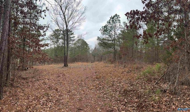 3.6 Acres Hough Rd, Home with 0 bedrooms, 0 bathrooms and null parking in Laceys Spring AL | Image 5