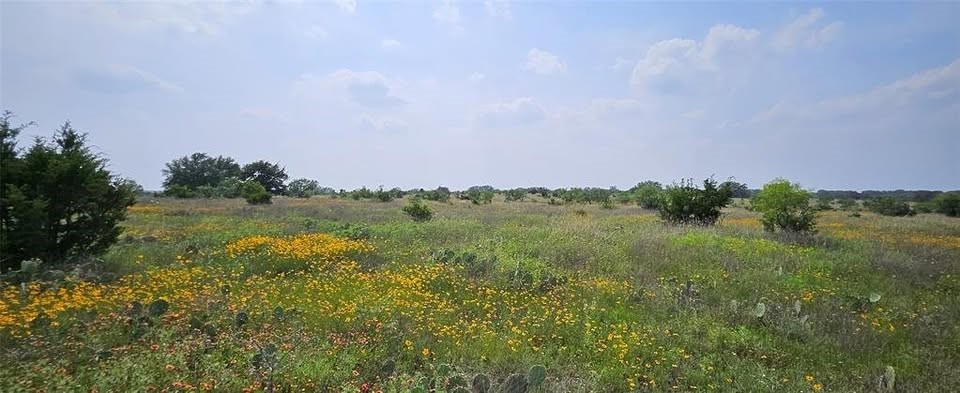 Land in Mason 4