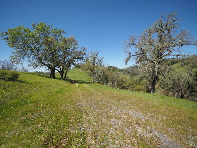 23655 Vineyard Rd, Home with 0 bedrooms, 0 bathrooms and null parking in Geyserville CA | Image 6