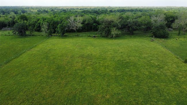 6707 Fm 1728, Home with 0 bedrooms, 0 bathrooms and null parking in Boling TX | Image 8