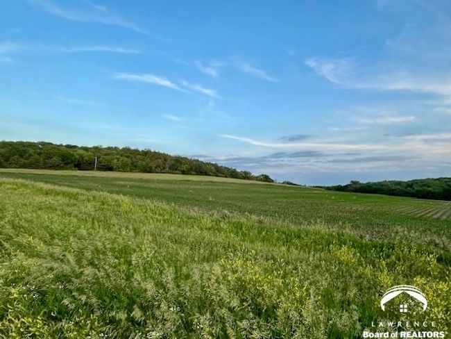 10.01 Acres M/L N 800 Road, Home with 0 bedrooms, 0 bathrooms and null parking in Baldwin City KS | Image 7