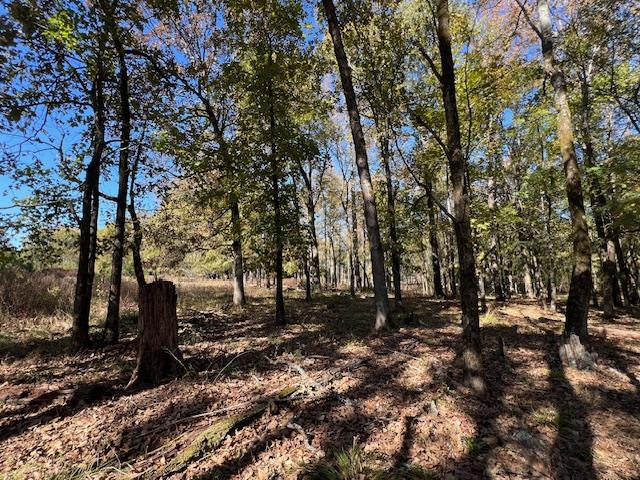 Land in Broken Bow 5