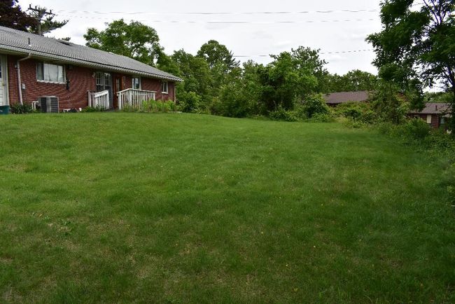 Back Yard | Image 15