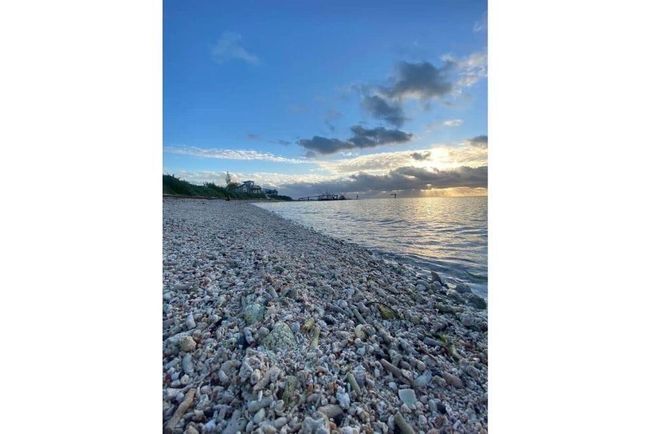 Beach | Image 5