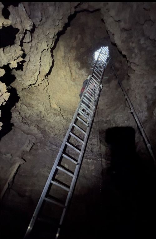 293 County Road 315, Eureka Springs, AR, 72632 | Card Image