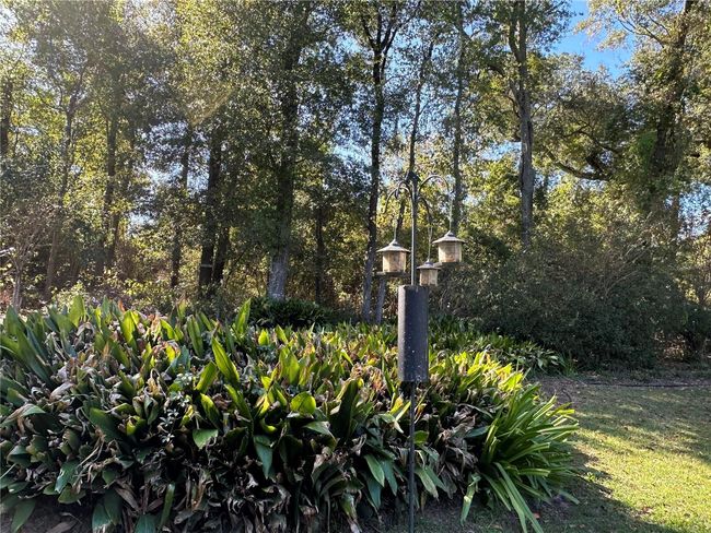 GARDENS ADD TO BEAUTY OF PROPERTY | Image 64