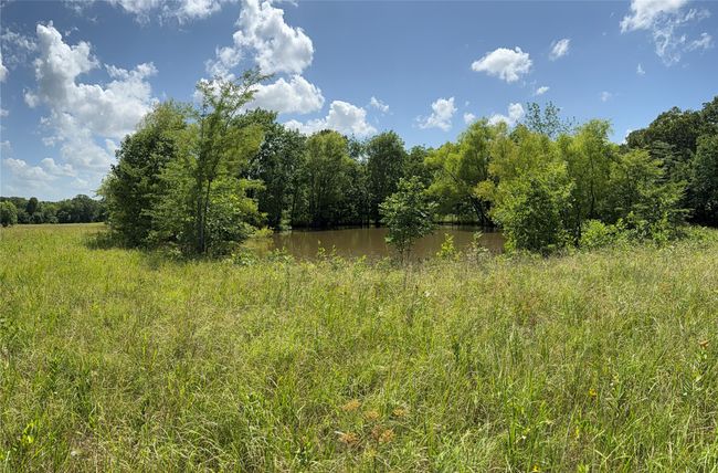 Water view featuring a heavily wooded area | Image 11