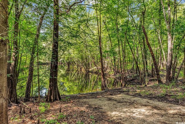 View of wooded area | Image 38