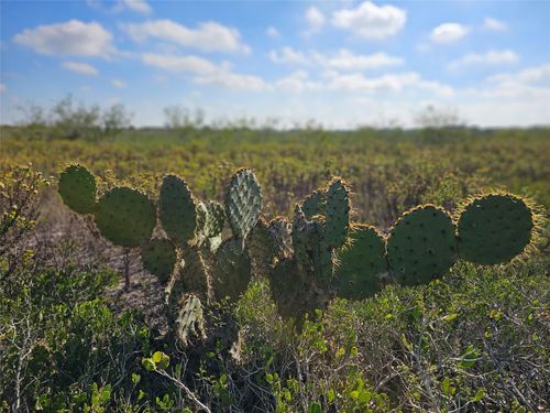 0 San Jose Ranch Rd, San Benito, TX, 78586 | Card Image