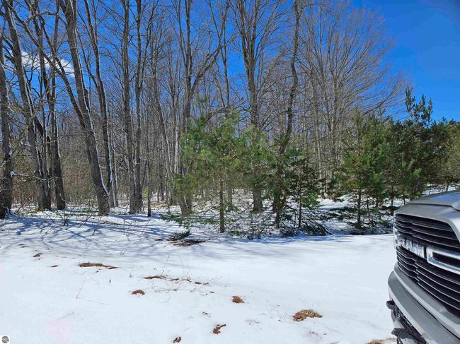 0000 V/L "C" Grass Lake Road, Home with 0 bedrooms, 0 bathrooms and null parking in Kalkaska MI | Image 7