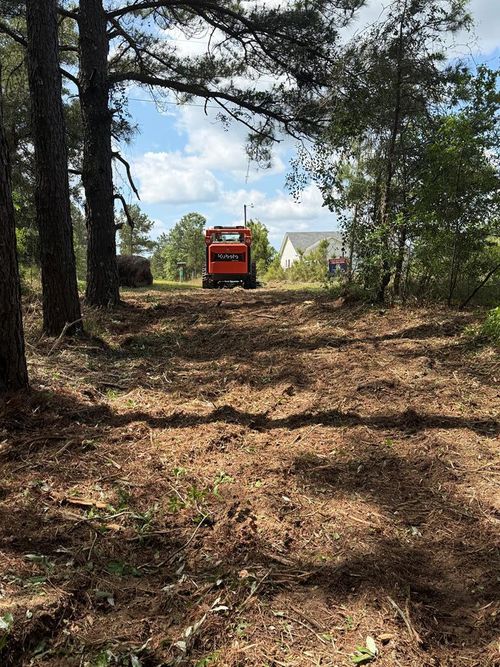 000 Bridlepath Ln, Box Springs, GA, 31801 | Card Image