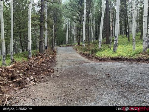 591 Crest Dr, Cimarron, CO, 81220-9504 | Card Image