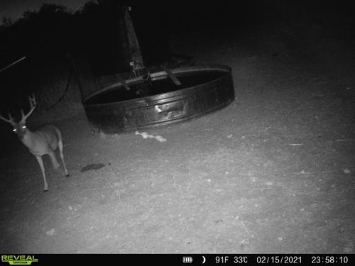 100 County Road 186, Mullin, TX, 76864-3303 | Card Image