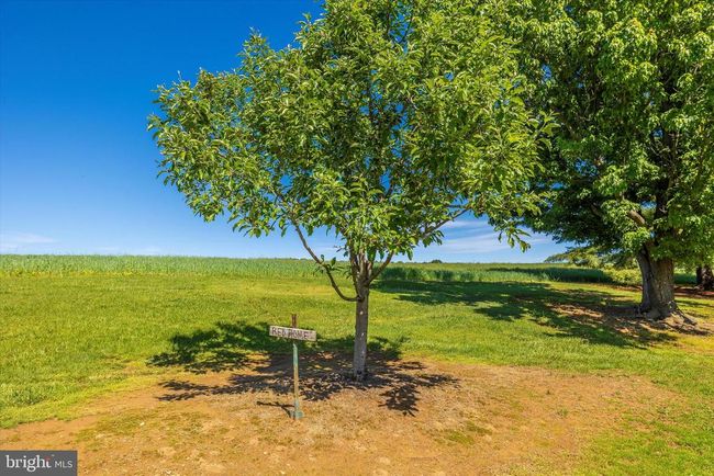 9632 Harmony Rd, House other with 3 bedrooms, 2 bathrooms and null parking in MYERSVILLE MD | Image 51