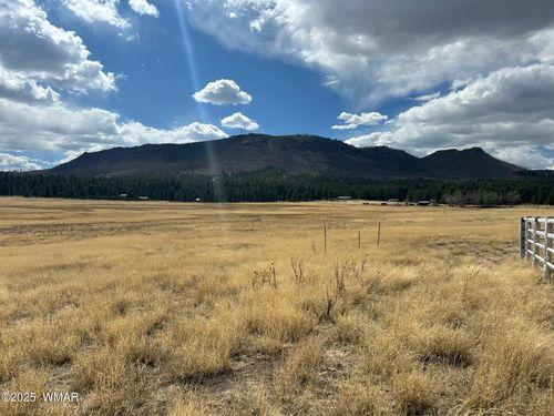 TBD Alpine Unsubdivide, Alpine, AZ, 85920 | Card Image