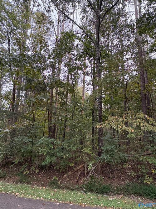 Lot 131 Pinecrest Dr, Union Grove, AL, 35175 | Card Image