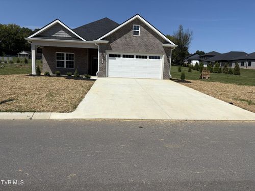 133 Dry Kiln Ct, Gray, TN, 37615-2315 | Card Image