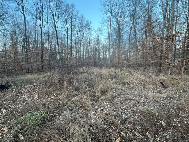 0 E 500 N, Home with 0 bedrooms, 0 bathrooms and null parking in Butlerville IN | Image 4