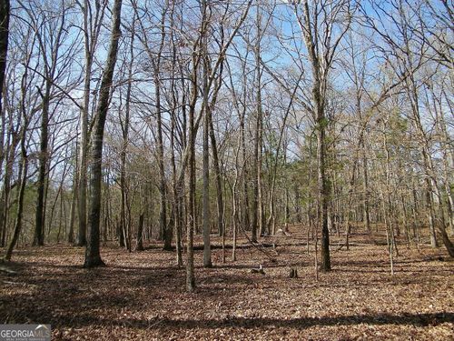 LOT 26 Benjamin Brown Ct, Elberton, GA, 30635 | Card Image