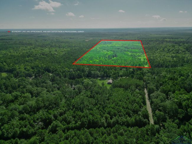 417 Walters Ln, Home with 0 bedrooms, 0 bathrooms and null parking in Jefferson TX | Image 15