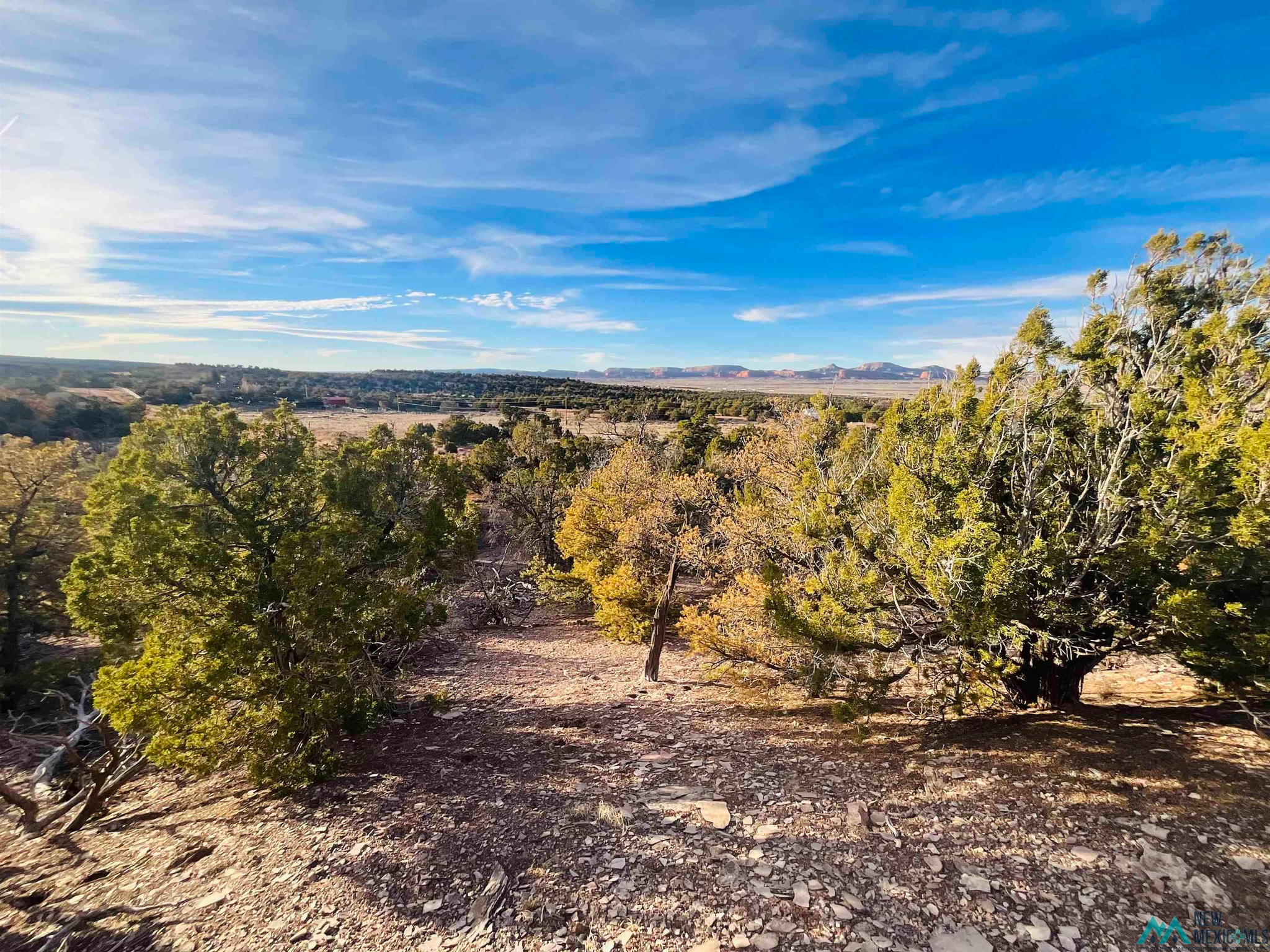 Land in Jamestown 4
