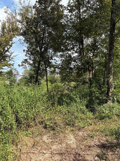 TBD Walnut Ridge Rd, Livingston, TX, 77351 | Card Image