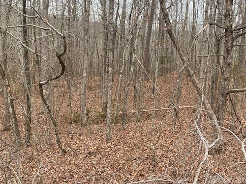 Lot 75 Mustang Dr, Clinton, AR, 72031 | Card Image