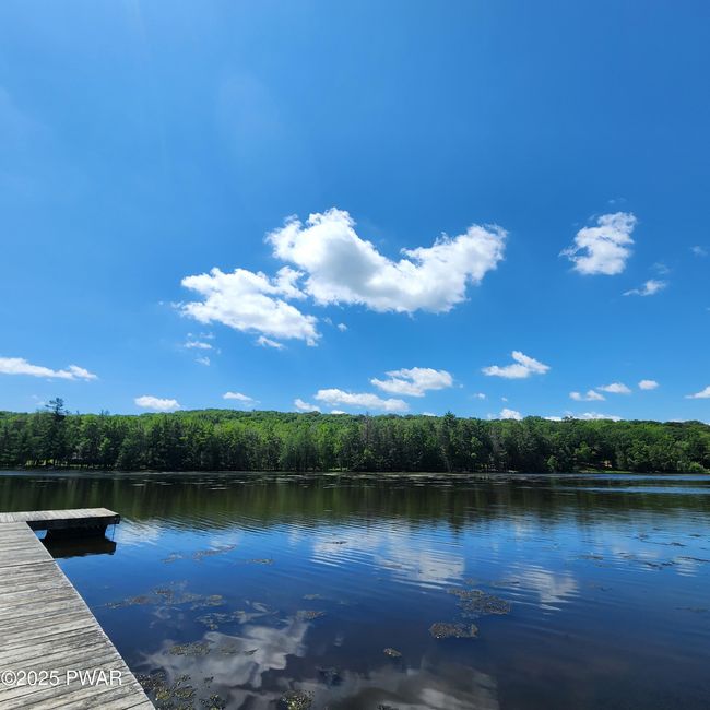 Tanglwood lake | Image 6
