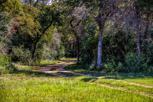 3336 County Road 326, Lexington, TX, 78947 | Card Image