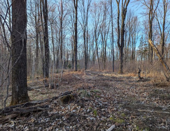 00 Cth X, Home with 0 bedrooms, 0 bathrooms and null parking in PRENTICE WI | Image 37
