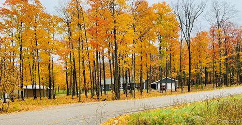 8530 Brudy Rd, Wolverine, MI, 49799-9753 | Card Image