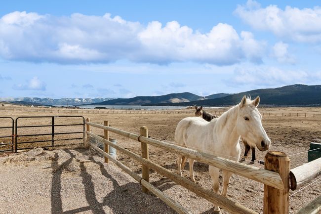 View of stable featuring a rural view and a mountain view | Image 18