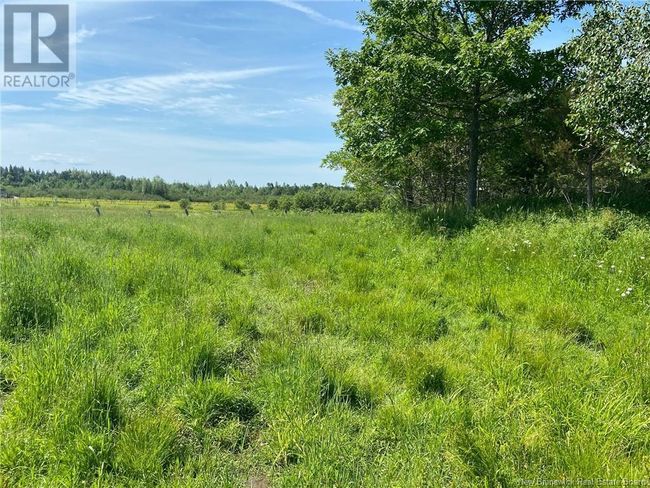 2402 885 Rte, House other with 3 bedrooms, 2 bathrooms and null parking in Havelock NB | Image 48