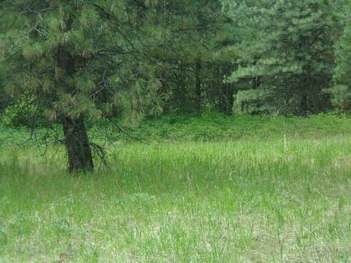 X11X Hoag Rd, Valley, WA, 99181 | Card Image