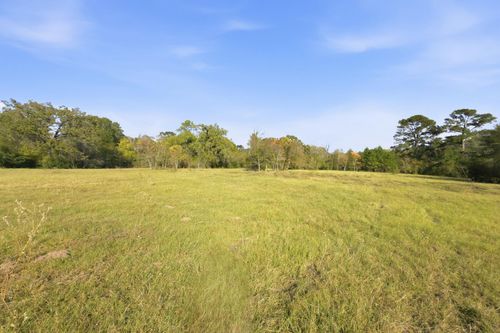 TBD County Road 204, Plantersville, TX, 77363 | Card Image