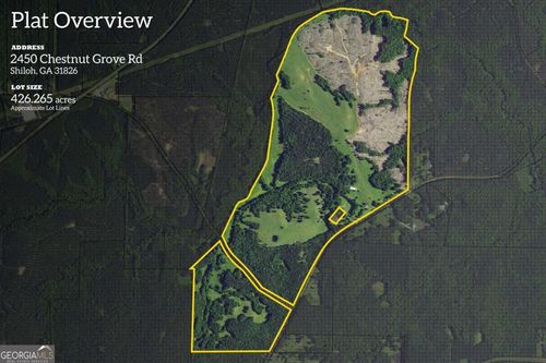 2450 Chestnut Grove Rd, Shiloh, GA, 31826-4318 | Card Image