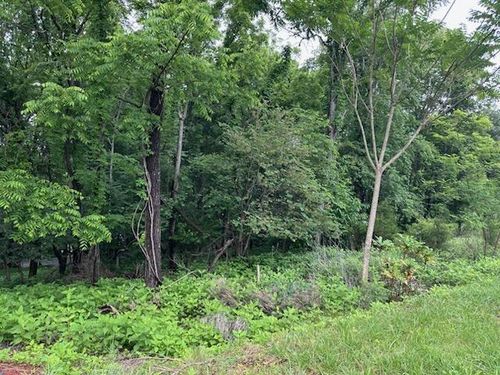 Lot 3 Hales Ford Rd, Moneta, VA, 24121 | Card Image