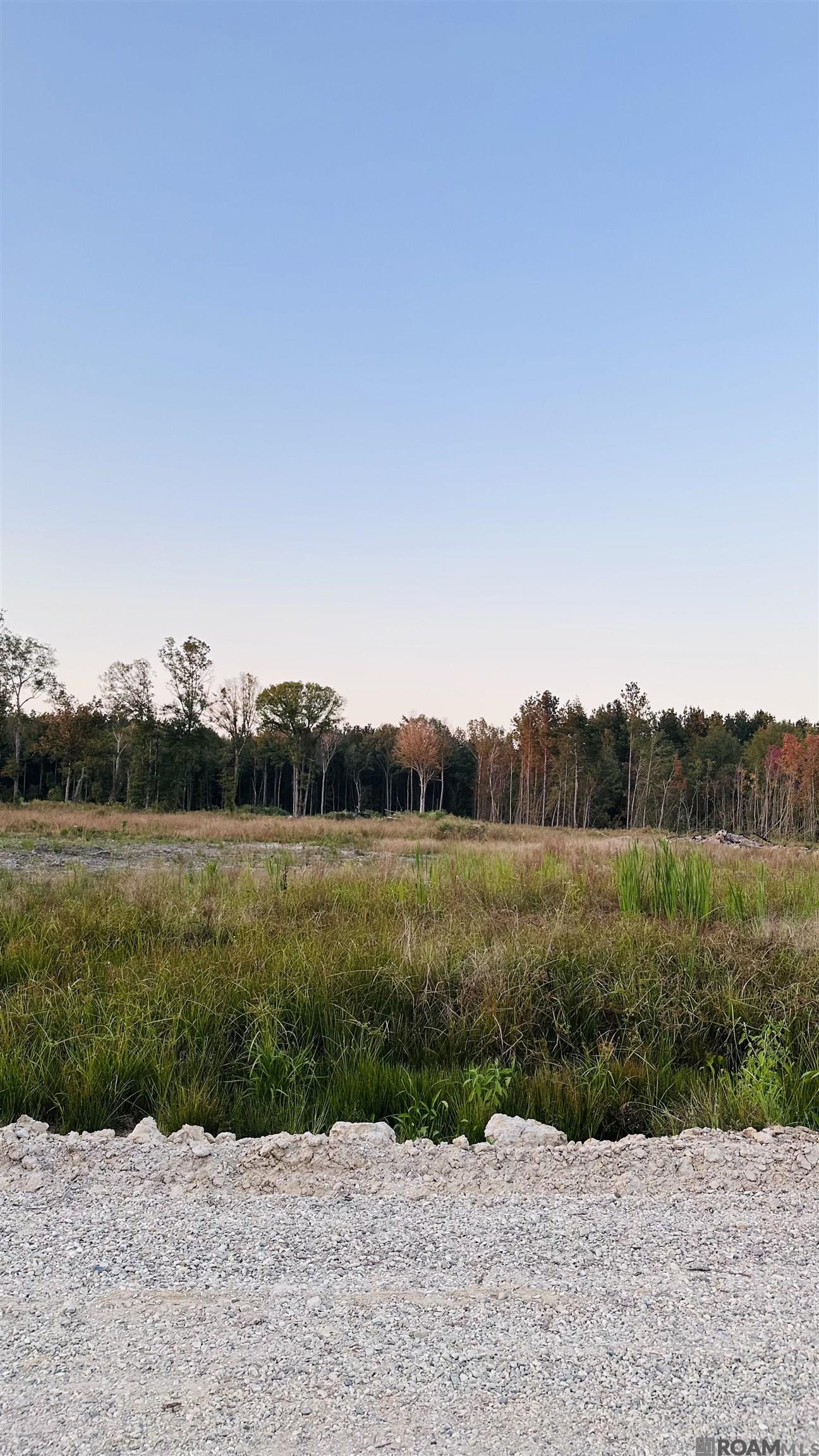 Land in Walker